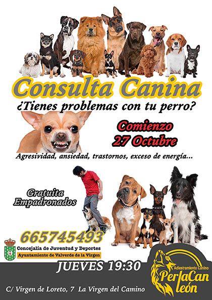 Consulta Canina Perlacan